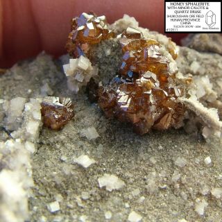 Honey Sphalerite Crystals Calcite,  Quartz Druse China Tucson Show 2006 10511