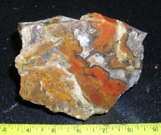 Ravishing Jasper Faced Rough … 3 Lb 5 Oz … Attractive Colors And Patterns