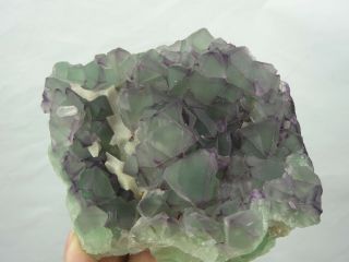 1.  2lb Purple And Green Octahedral Fluorite Cluster On Quartz Matrix From De 