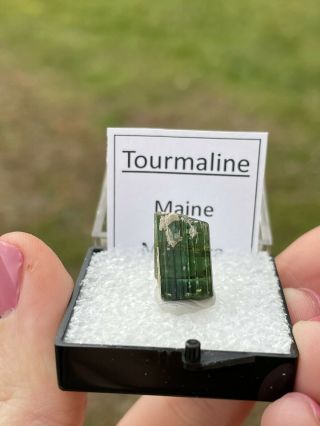 Maine Tourmaline