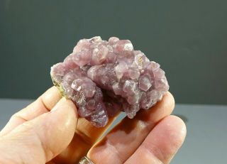 Rare,  Lustrous Pink Cobaltoan Calcite Crystal Cluster,  Morocco