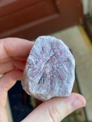 Lepidolite And Pink Maine Tourmaline