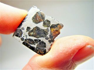 Museum Quality Crystals Brahin Pallasite Meteorite 7.  043 Gms