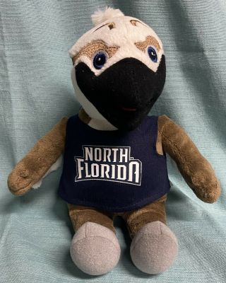 North Florida Ozzie Plush 10 " Stuffed Mascot Unf Osprey