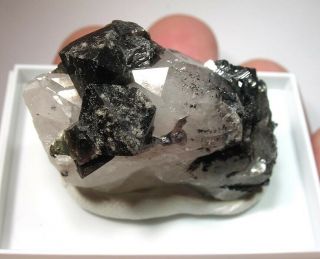 Scheelite & Ferberite On Quartz: Yaogangxian Mine,  Hunan Province,  China - Nr