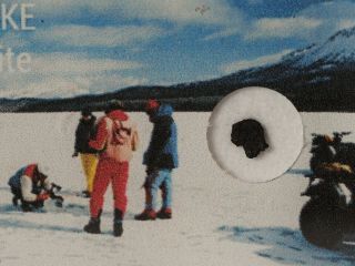 Tagish Lake Meteorite - Unique C2 Chondrite - Fell In Canada In 2000 - Crusted