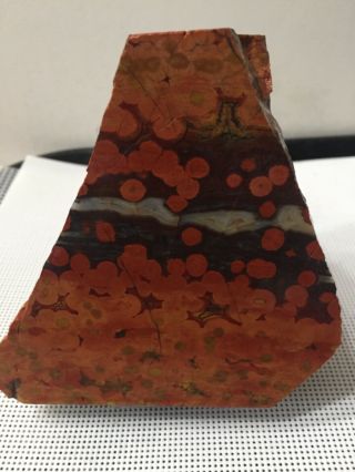 Osr: Rare Top Shelf Piece Of Morgan Hill Poppy Jasper Faced Rough Specimen
