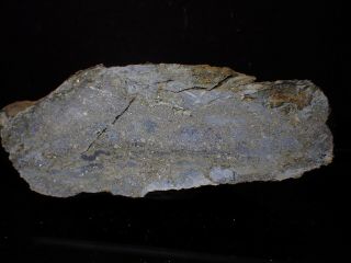 Silver Ore W/ Galena & Sphalerite On Schist Silver Hill Mine North Carolina