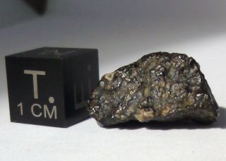 Meteorite Nwa 12343 - Carbonaceous Chondrite Cv3 - Specimen