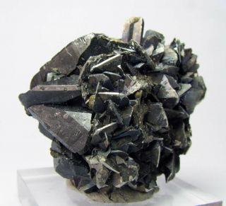 Ferberite Twinned Crystals With Marcasite & Arsenopyrite From Bolivia.  Gorgeous