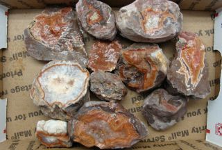 32 Ounces (2 Pounds) Dryhead Agate Rough For Specimen,  Tumble And Small Cabs
