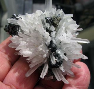 Sphalerite Crystal And Pyrites Scattered On Fine Clear Quartzs From Peru.