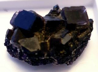 Rare Cubic Zoned Fluorite Cluster Wheal Prosper Mine Breage Cornwall England Uk