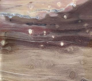 Mw: Petrified Wood Woodworthia - Winslow,  Arizona - Polished Rip - Cut Slab