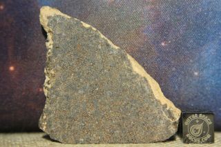 Goulimine 001 H5 Chondrite Meteorite 10.  7g Highly Porous Part Slice