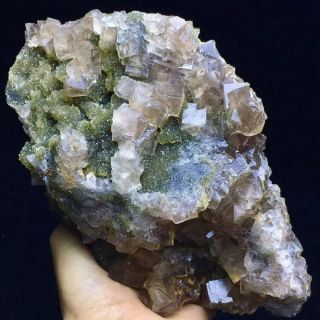 1170g Transparent Pink Cubic Fluorite Crystal Cluster & Quartz Mineral Specimen