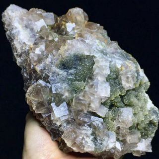 1170g Transparent Pink Cubic Fluorite Crystal Cluster & Quartz Mineral Specimen 2