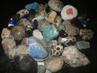 Michigan Stones,  Rocks,  Leland Blue,  Slag,  Beach Glass,  Fossils,  Petoskey Stones
