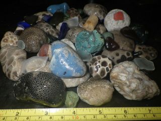 Michigan Stones,  Rocks,  Leland blue,  Slag,  Beach Glass,  Fossils,  Petoskey Stones 3