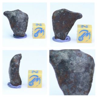 N6 - Complete Oriented Nwa 859 Taza Iron Plessitic Octahedrite Meteorite 11.  25g