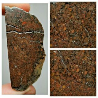 S10 - Nwa 13376 Unequilibrated Ll3.  4 Chondrite Meteorite 74.  10g Thick Slice
