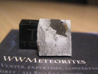 Meteorite Mount Dooling (octahedrite,  Ic Group) - One Of The Only 11 Classified