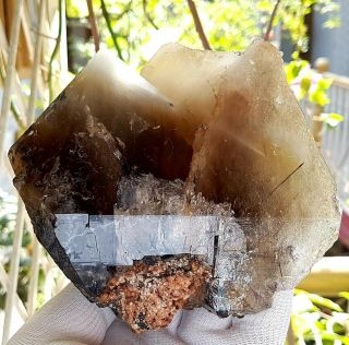 1100grams Amazingly Terminated Rutile&smoky Quartz Crystals Specimen From Pak.