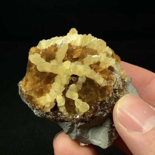 (5.  4 Cm) Cool Two Generations Of Calcite - Chalk Hill Quarry,  Dallas,  Texas