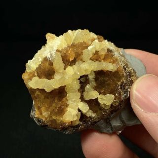 (5.  4 cm) Cool Two Generations of Calcite - Chalk Hill Quarry,  Dallas,  Texas 3