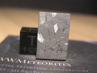 Meteorite Canyon Diablo (from " Meteor/barringer Crater " Arizona) - Etched Slice