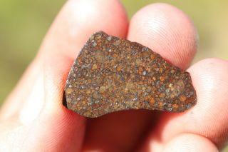 Nwa 12012 Meteorite End Cut 3.  8 Grams Under Classification One Side Coated
