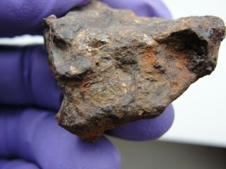 Brenham Pallasite Meteorite 42 Gm Nugget / Fragment.  $1 Per Gram,  Buy It Now.