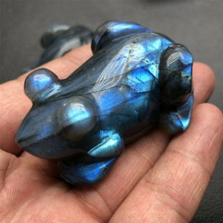 Top！natural Labradorite Hand Carved Frog Skull Quartz Crystal Healing 1pc
