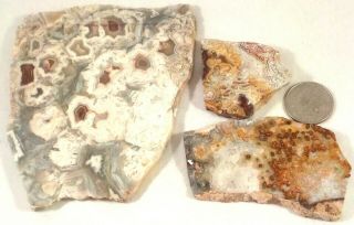 3 Awesome Laguna Or Crazy Lace Agates Total 7.  2 Ounces 1st 3 Pictures Wet 2208