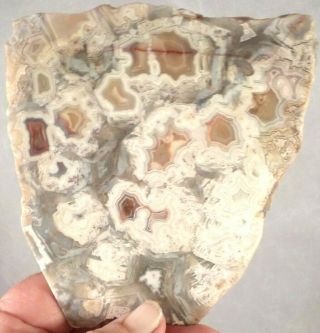 3 Awesome Laguna or Crazy Lace Agates Total 7.  2 ounces 1st 3 pictures wet 2208 2