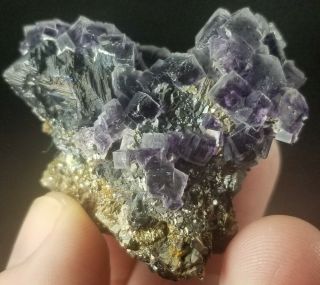 Purple Fluorite Wolframite Pyrite Arsenopyrite Crystals Yaogangxian Mine China