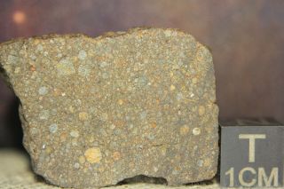 NWA 12518 LL3 Primitive Chondrite Meteorite 6.  7g part slice so many chondrules 2