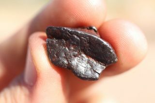 Canyon Diablo Meteorite Individual 8.  5 Grams