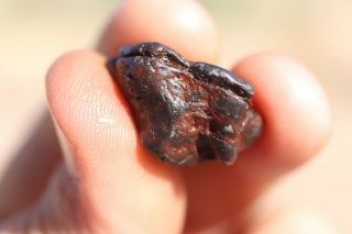 Canyon Diablo Meteorite individual 8.  5 grams 2