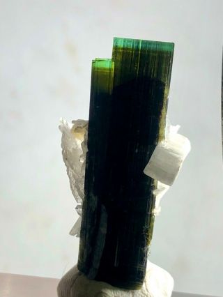 59 Cts Green Cap Tourmaline Crystal With Cleavlandite Specimem @pak