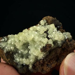 (3.  6 Cm) Lustrous Green Adamite Crystals - Ojuela Mine,  Mexico
