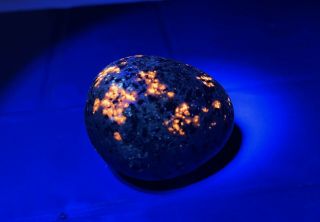 66g Yooperlite Uv Sodalite Fluorescent Pebble Crystal Mineral Rock Usa Edl0165