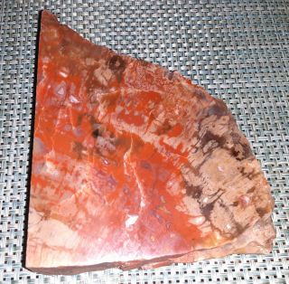 Large,  Arizona Red Petrified Wood Slab Polished 3 Lbs
