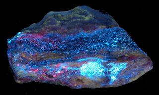 Wow Colorful Large Sw/uv Fluorescent From The White Elephant Mine,  Ca.  110