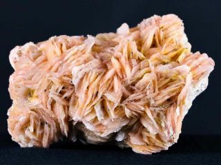 Pink Barite Blades Crystal Mineral Specimen Mabladen Morocco 6.  7 Ounces