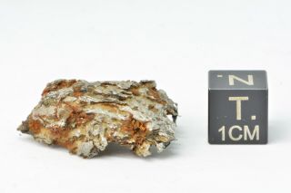 Meteorite Morasko,  Poland 1914,  Iron IAB - MG weight 12,  84 g 2