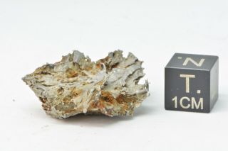 Meteorite Morasko,  Poland 1914,  Iron IAB - MG weight 12,  84 g 3
