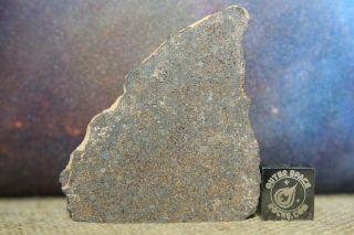 Goulimine 001 H5 Chondrite Meteorite 21.  4g Highly Porous End Cut