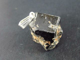 Black Andradite Melanite Garnet Silver Pendant From Tanzania - 0.  9 " - 6.  0 Grams