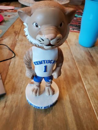 Kentucky Wildcats Mascot University Of Kentucky Headline Bobblehead Ncaa